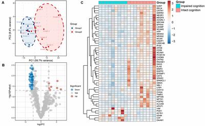 Identification of Novel Cerebrospinal Fluid Biomarkers for Cognitive Decline in Aneurysmal Subarachnoid Hemorrhage: A Proteomic Approach